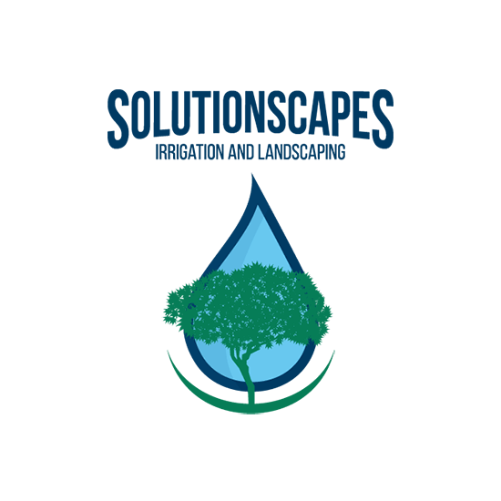 SolutionScapes